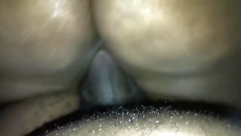 Mas killster feels terranio