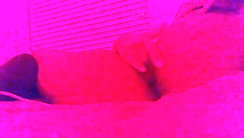 She's a littlexi mikeionalo